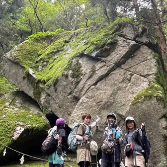 木漏れ日で木も岩もキラキラしてるね〜