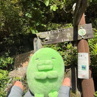 スタートします