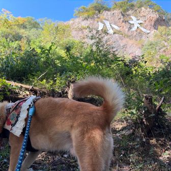 山頂もすぐや