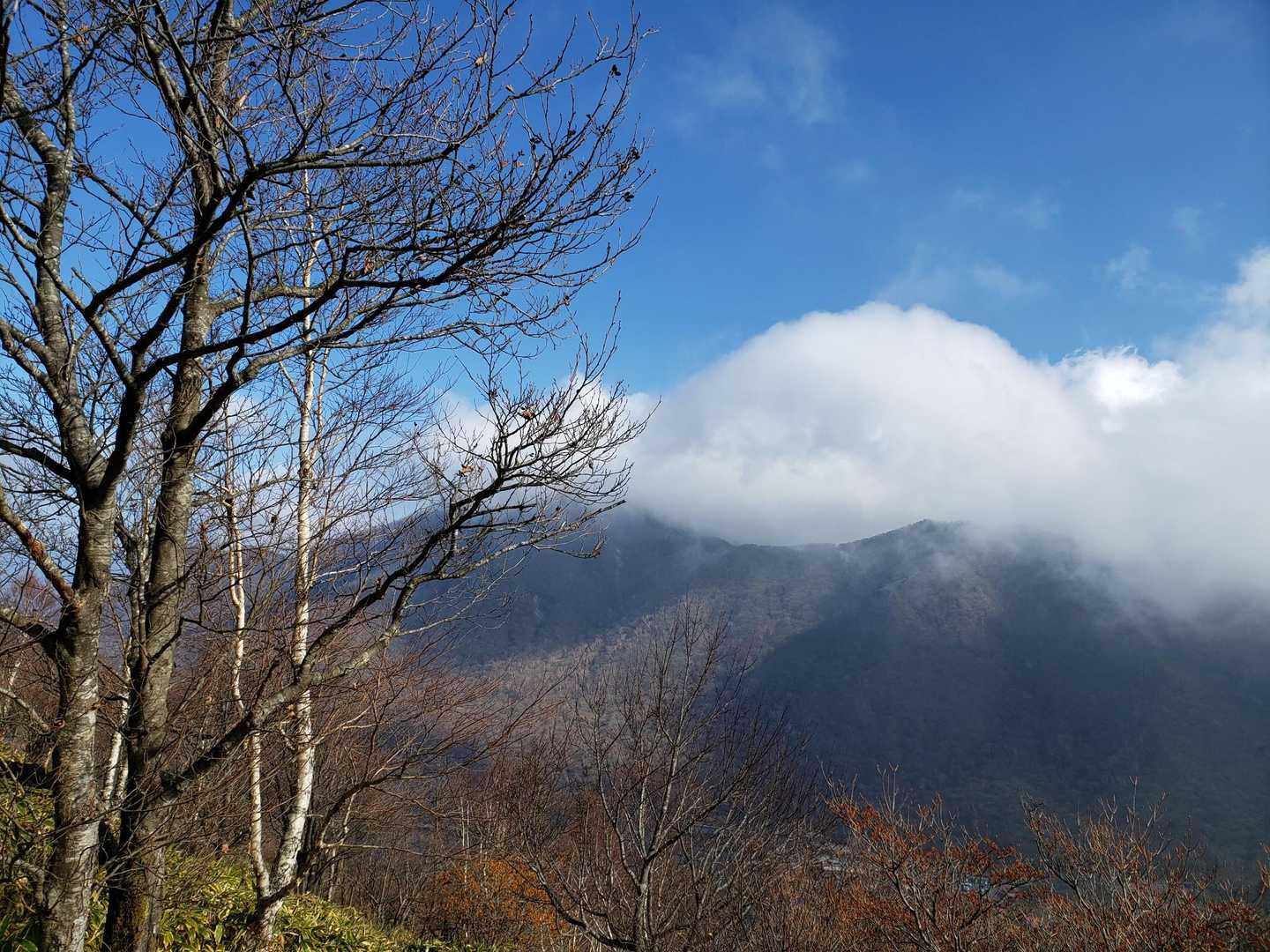 赤城山大洞バス停-地蔵岳 周回コースの写真