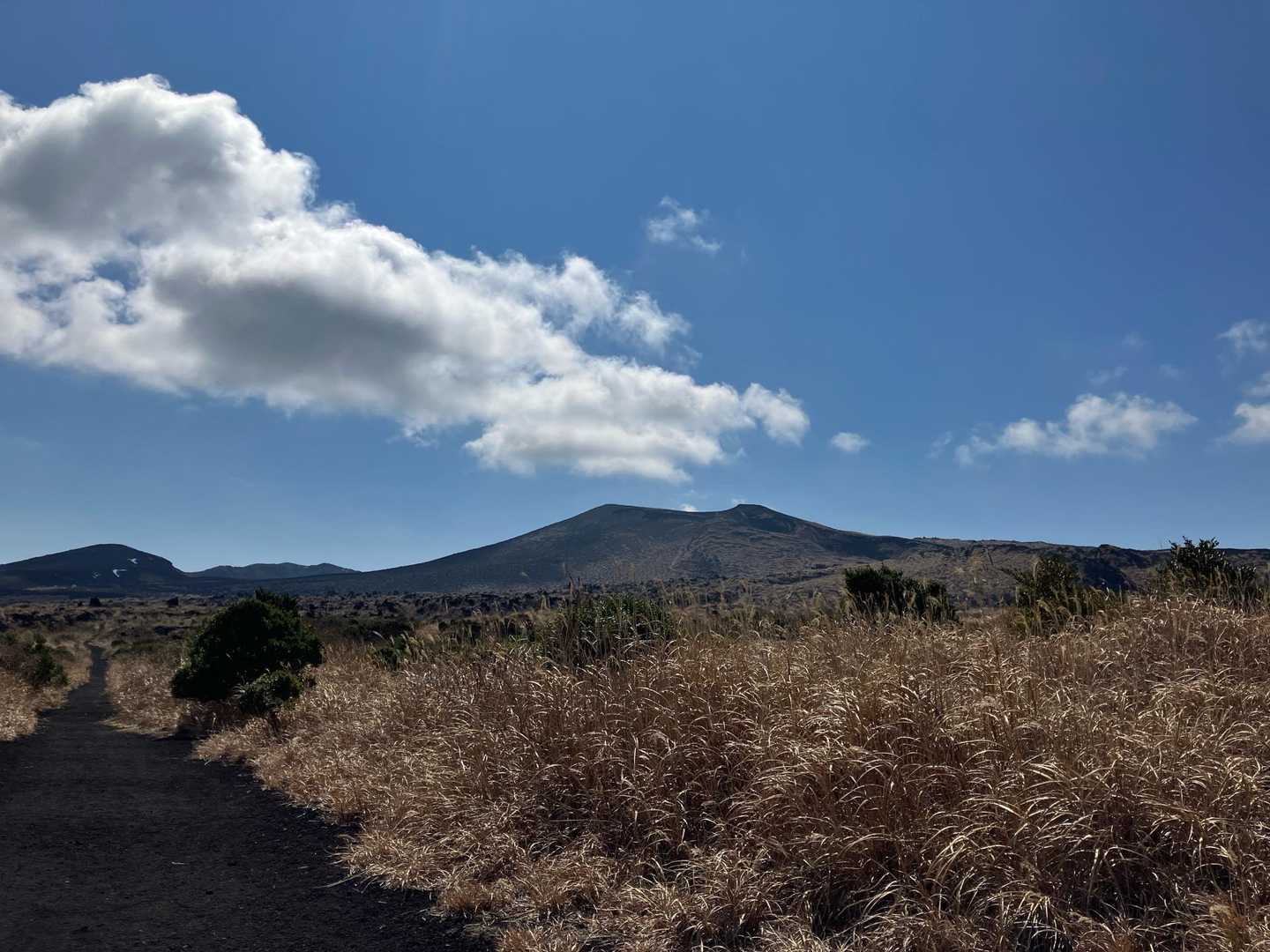 三原山頂口バス停-剣ガ峰-温泉コース登山口
 縦走コースの写真
