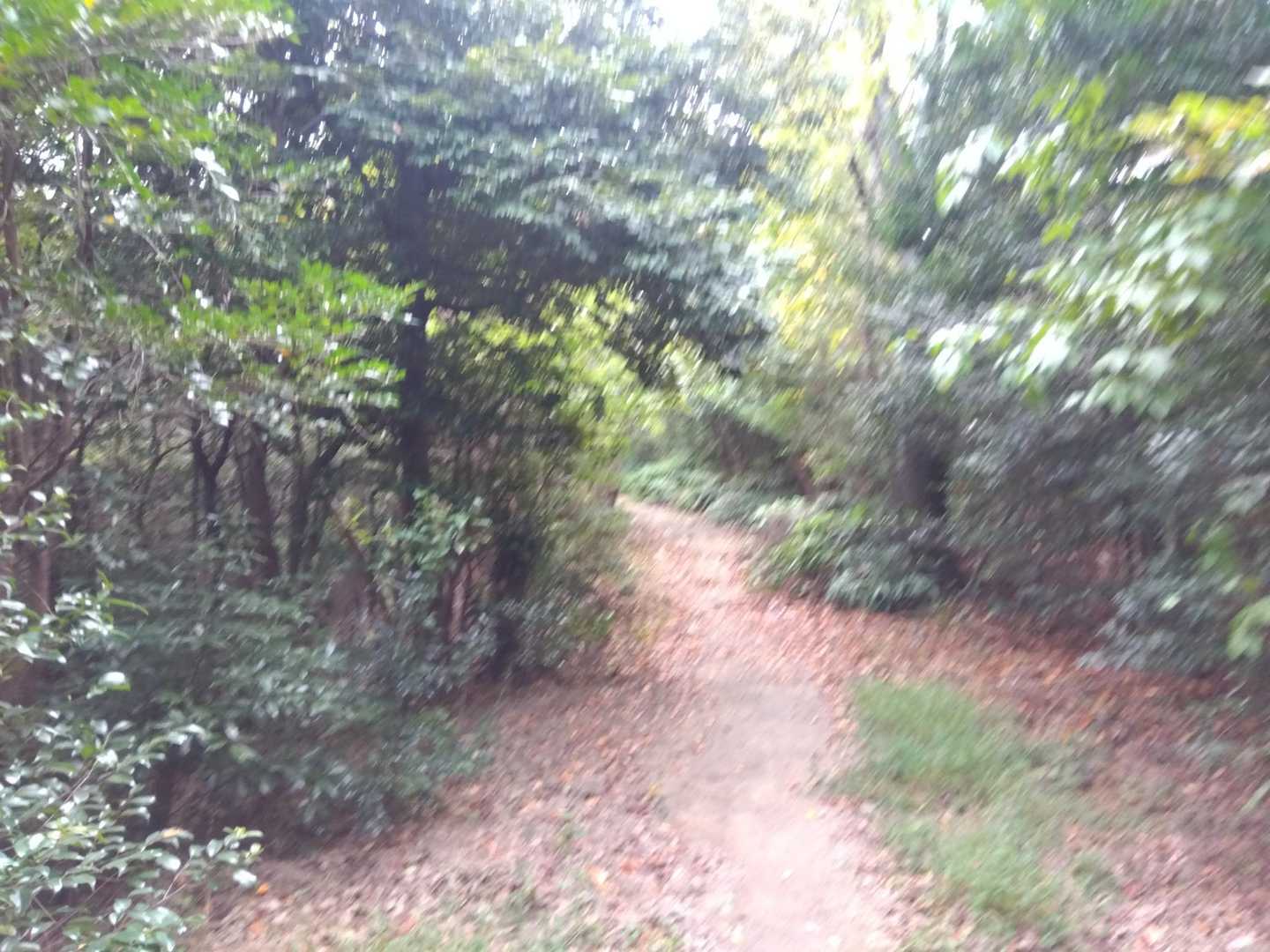 ほぼほぼ平坦な道を進むと