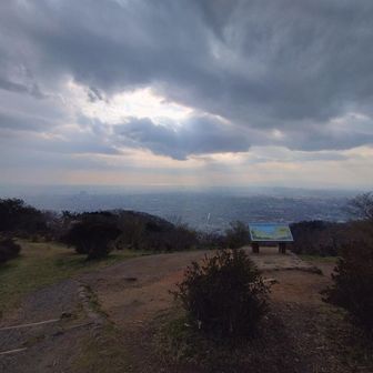 ぼくらの広場から