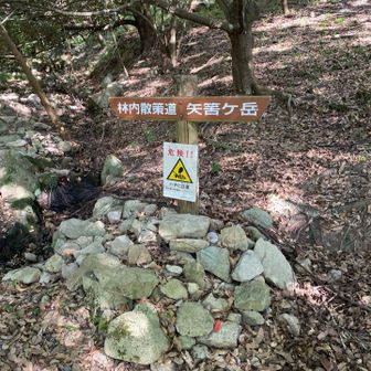 看板があるので安心して登れますね。