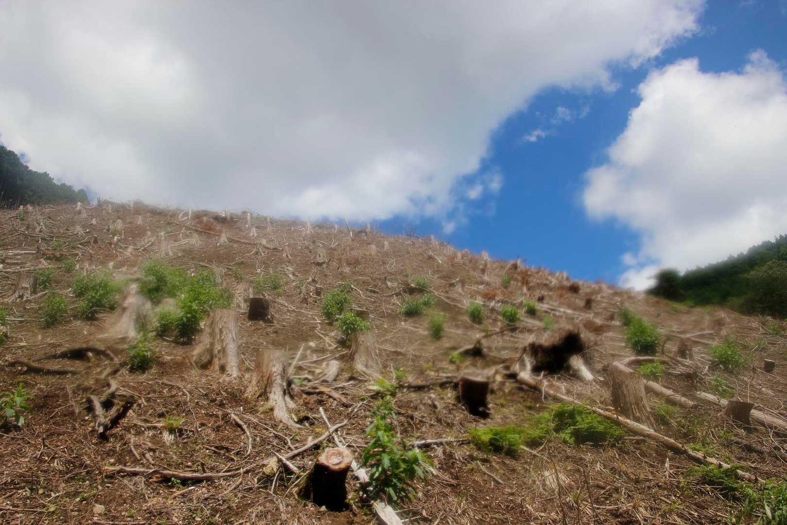 突然現れた山肌☀️