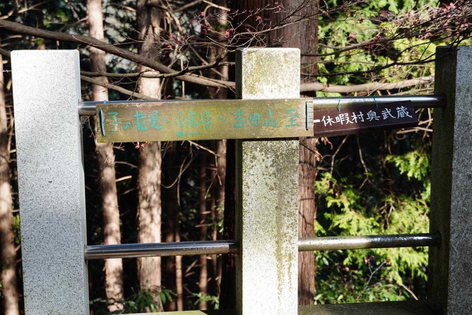 さてさて、ようやっと、境内の右側から、登山道に入ります💦