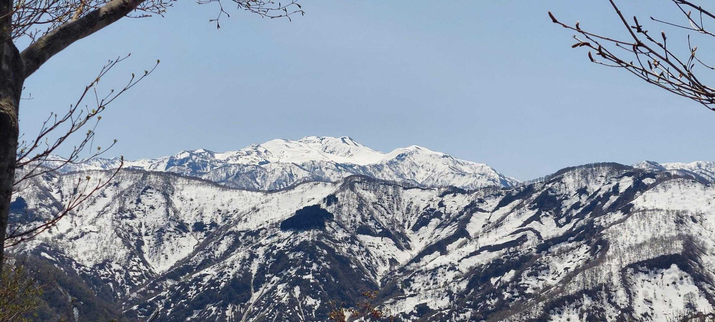 白山🤍
