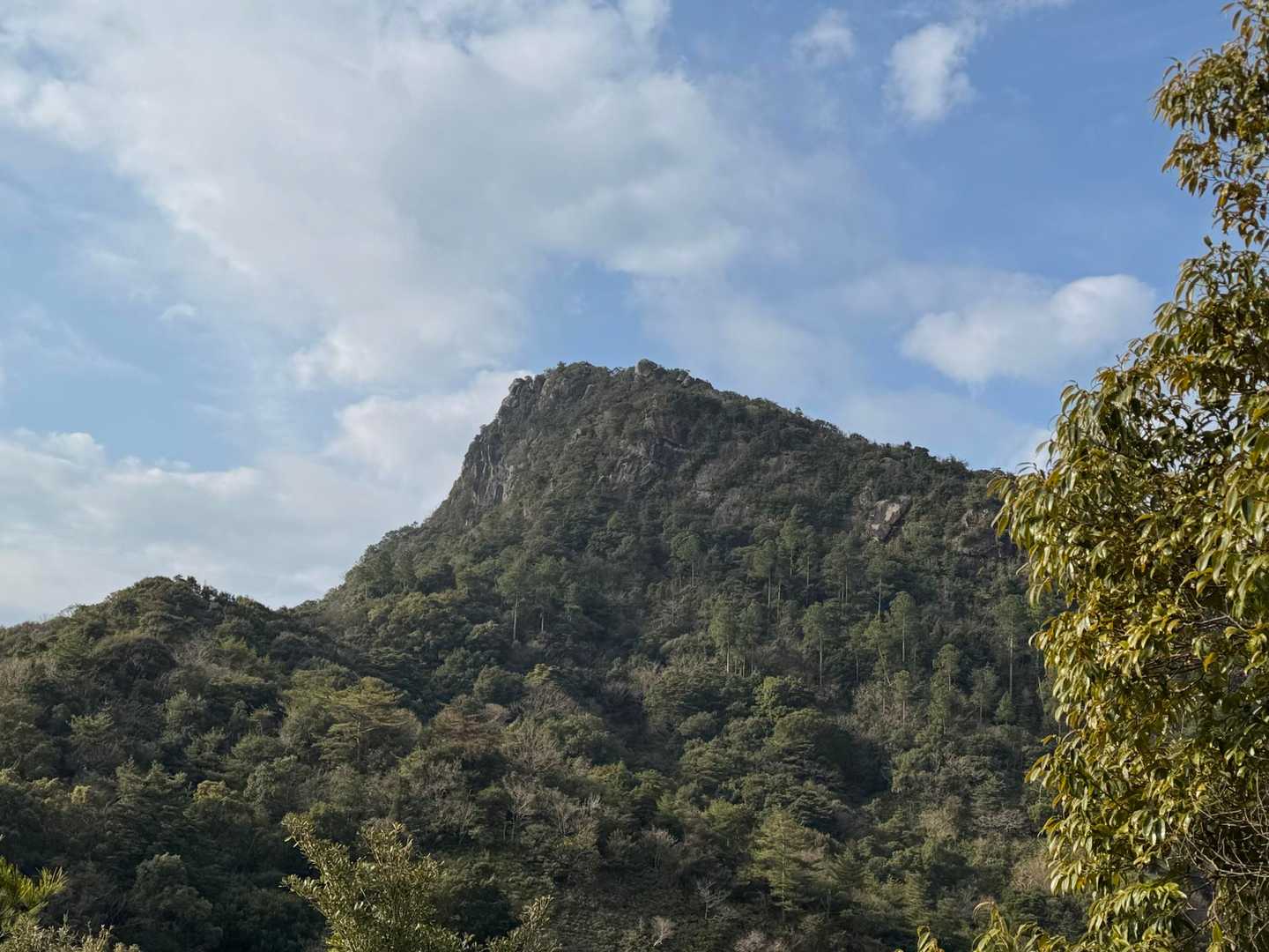振り返り見る次郎丸
後で行くよ！