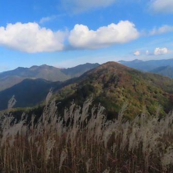 奥には徳島の矢筈山

落合峠は陰になってるとこ
色んな山の登山口になってます