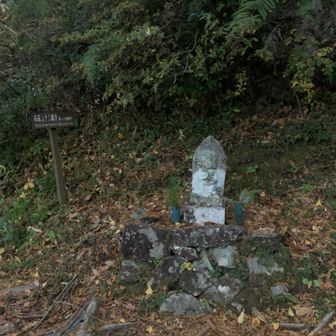 観音様が沢山いらっしゃいました。