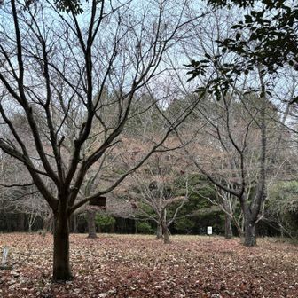 山頂到着。
山頂標識はもう文字が薄れて読めません。