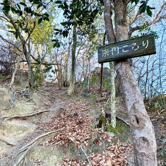 出ました❗️噂の宗円ころり

以下AIが教えてくれました。

「宗円ころり」の由来は、室町時代の小松寺の貫主・宗円（そうえん）が、険しい尾根道（現在の大阪府交野市・星田周辺）で谷底に転落しかけた際、首から下げていたお地蔵さんのお守りの力で助かり、無事だったことから名付けられた地名・言い伝えです。宗円の法力と「ころり」（落ちる・助かる）の言葉が結びつき、この地が「宗円ころり」と呼ばれるようになりました。 

ここは絶対登り1回で済む様にしたかったので、ちゃんママさんにルートのアドバイス頂きました。
実際登ってみて、ここはやっぱり下りで使いたく無いと実感😰