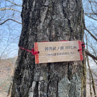 ２つ目のピーク到着っ！！
今日はここまでで、引き返します。