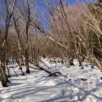 大岩まであと少し。
このあたりから雪が増えてきます。