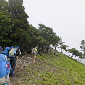 植松山から奥植松山への道は景色最高✨
この日は風が強くて🍃めちゃ寒かった💦
奥植松山で風を避けて昼食🍙🍵
