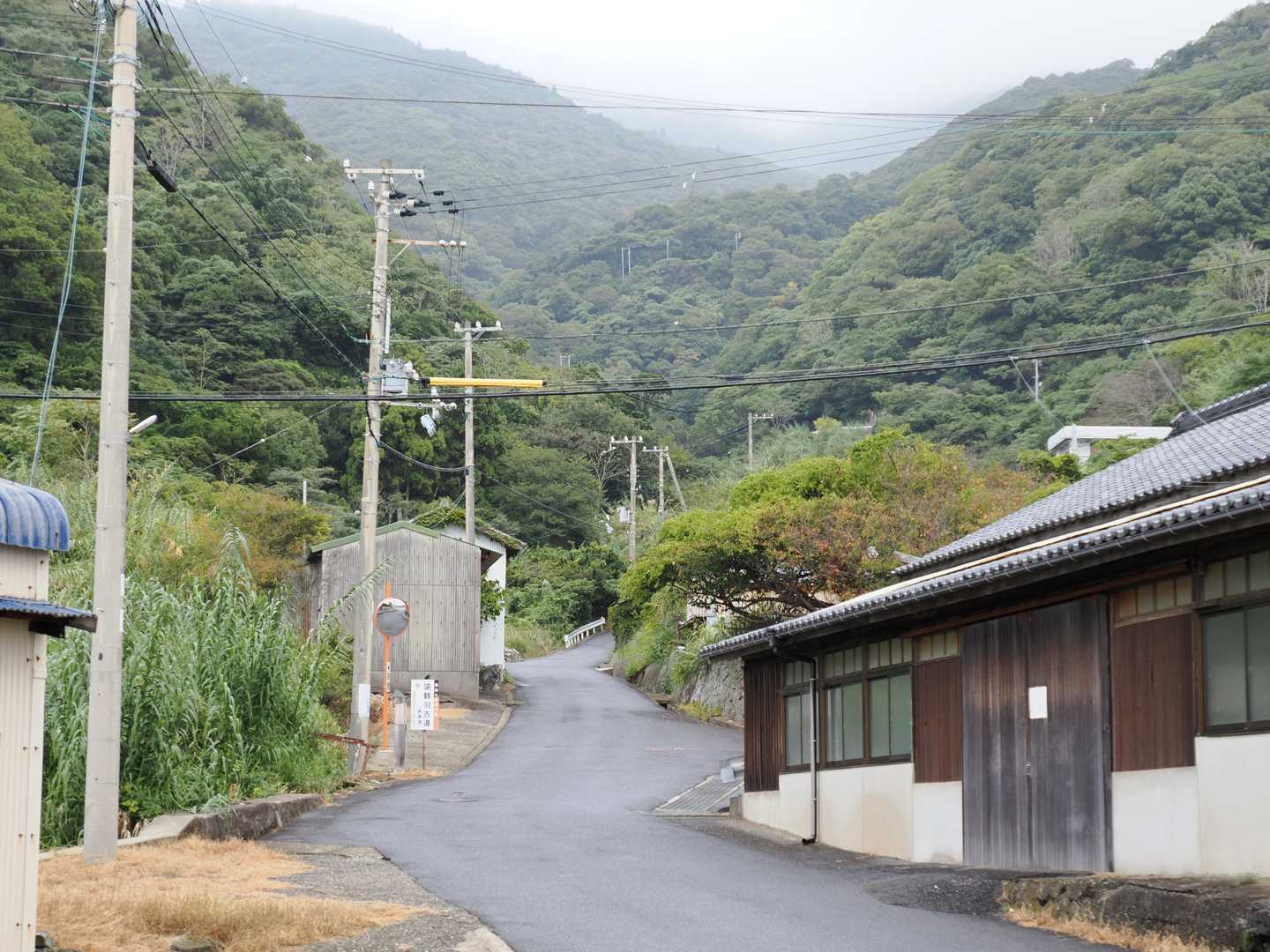 小雨がパラパラ。合羽を着て歩いています。
諭鶴羽山を見上げると真っ白。山上は雨