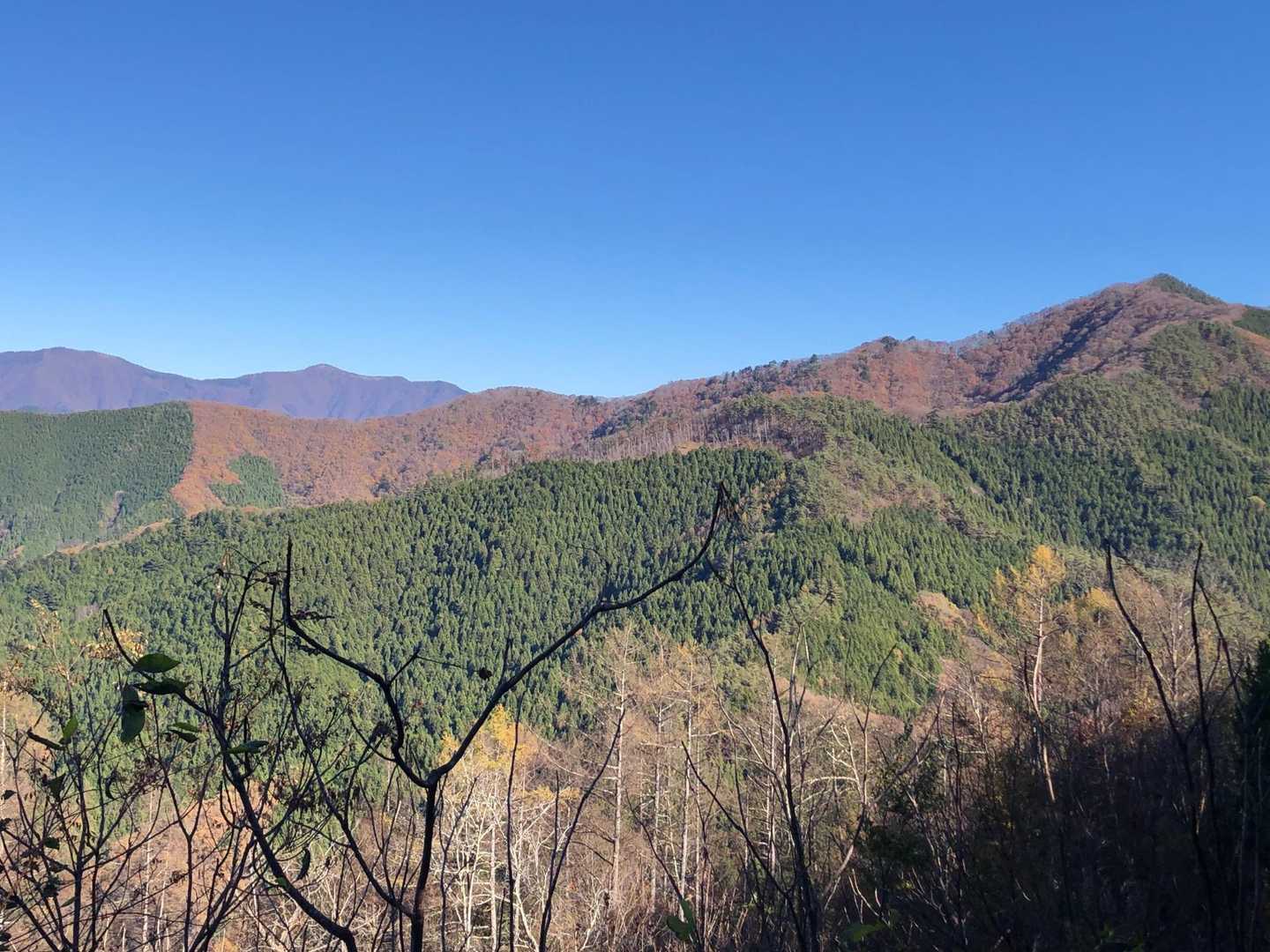 鶴峠-奈良倉山-松姫峠-鶴寝山 縦走コースの写真
