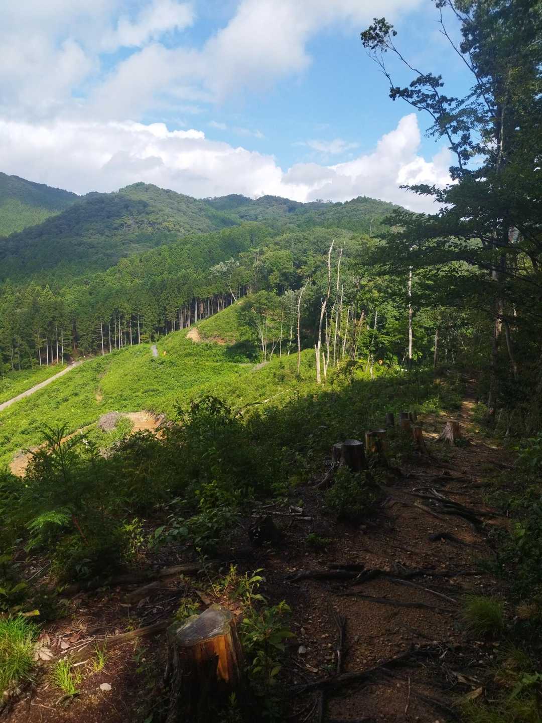 長倉山 周回コースの写真