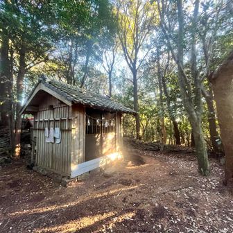 坊ヶ峰頂上の眺望は特になし。この頃はもうかなり日が高くなってきてました。