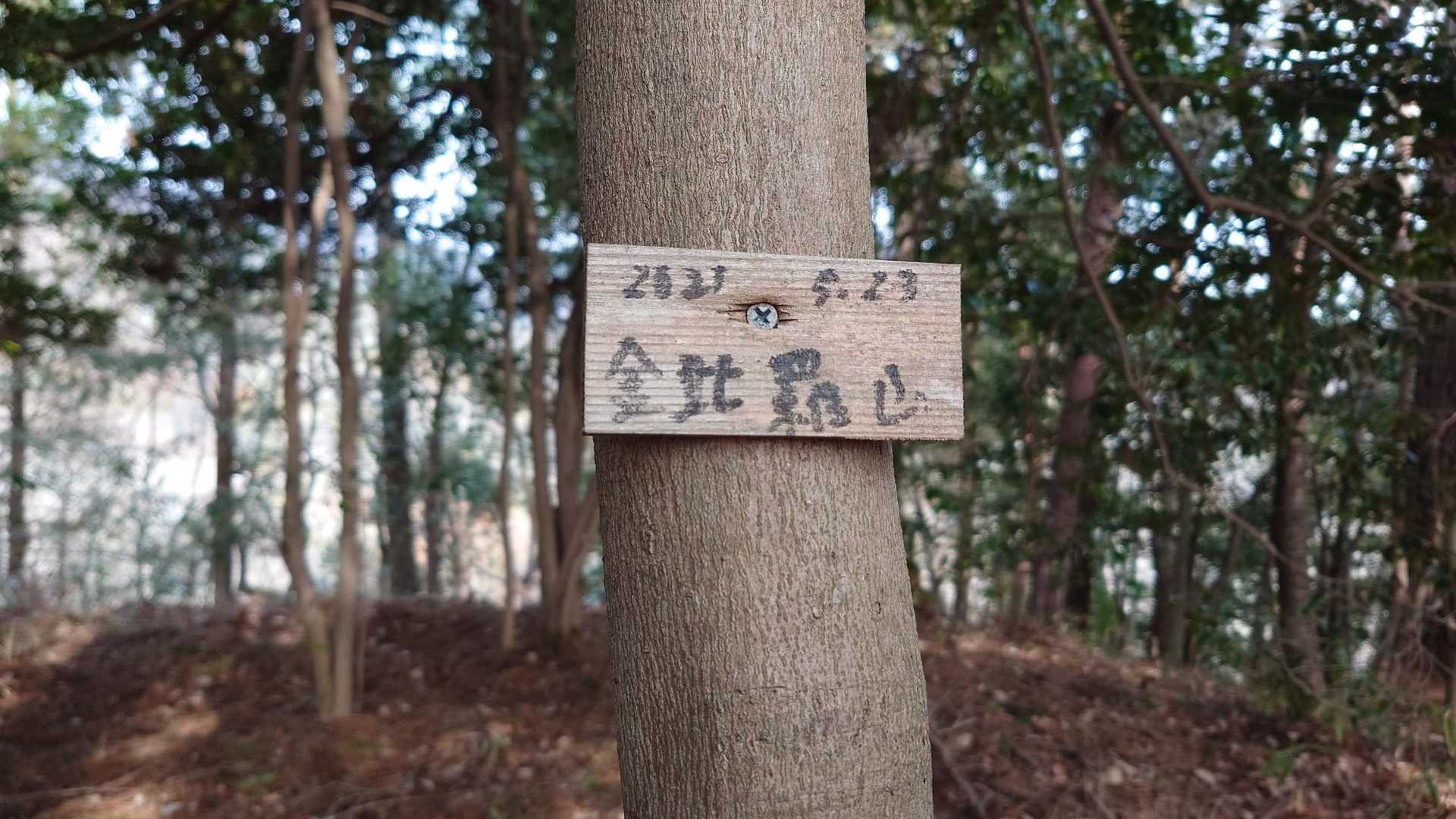 上河原バス停-金比羅山-鷹取山-小渕山-岩戸山 縦走コースの写真
