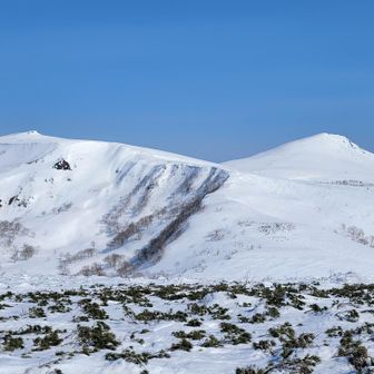 並河岳山頂はハイマツが出始めています
次は左端の中岳へ