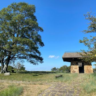 山頂広い
