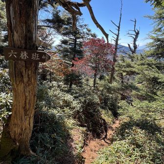 鋸山まで戻って、残り半分💦
