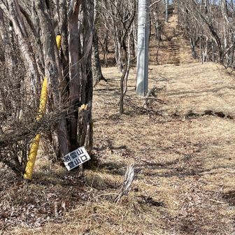 ラストにおまけで、勝雲山という山に登ります。ここが、勝雲山の登山口。