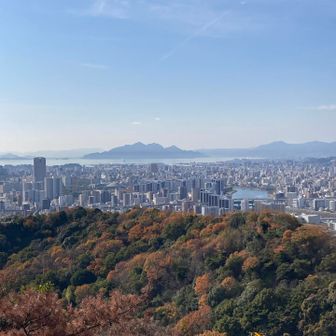 宮島も見れていい天気