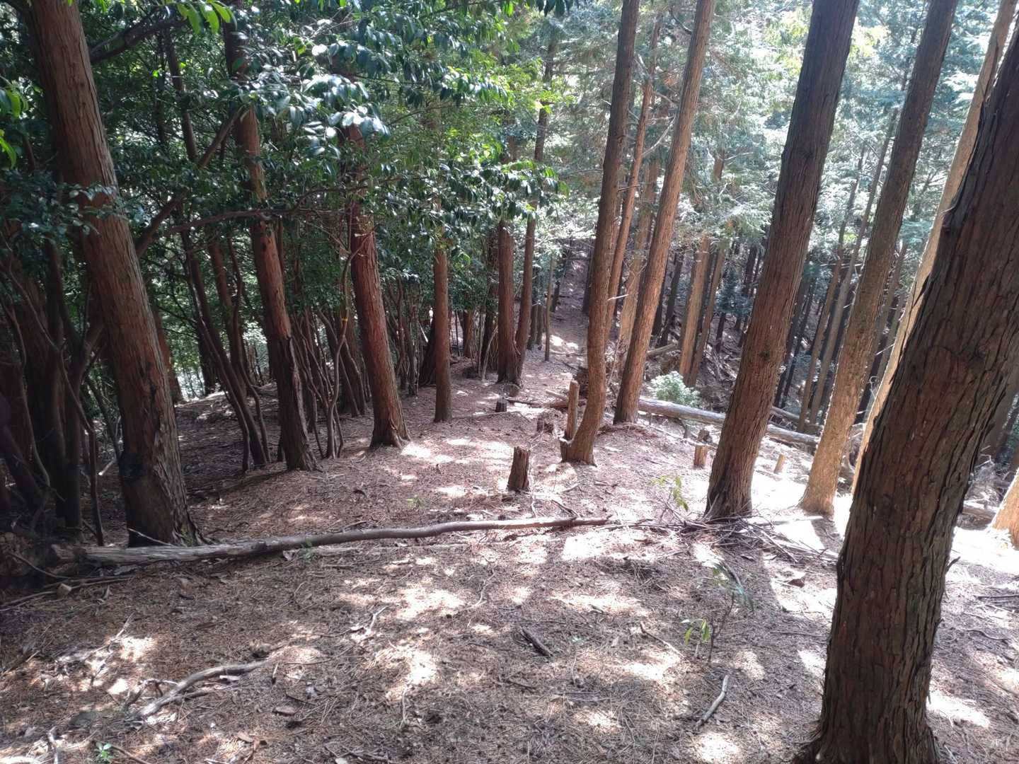 次は嵐山へ