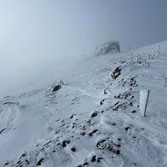 また、白くなってきた、、、