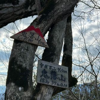 5座目「鬼落山」かなりの急登でした💦