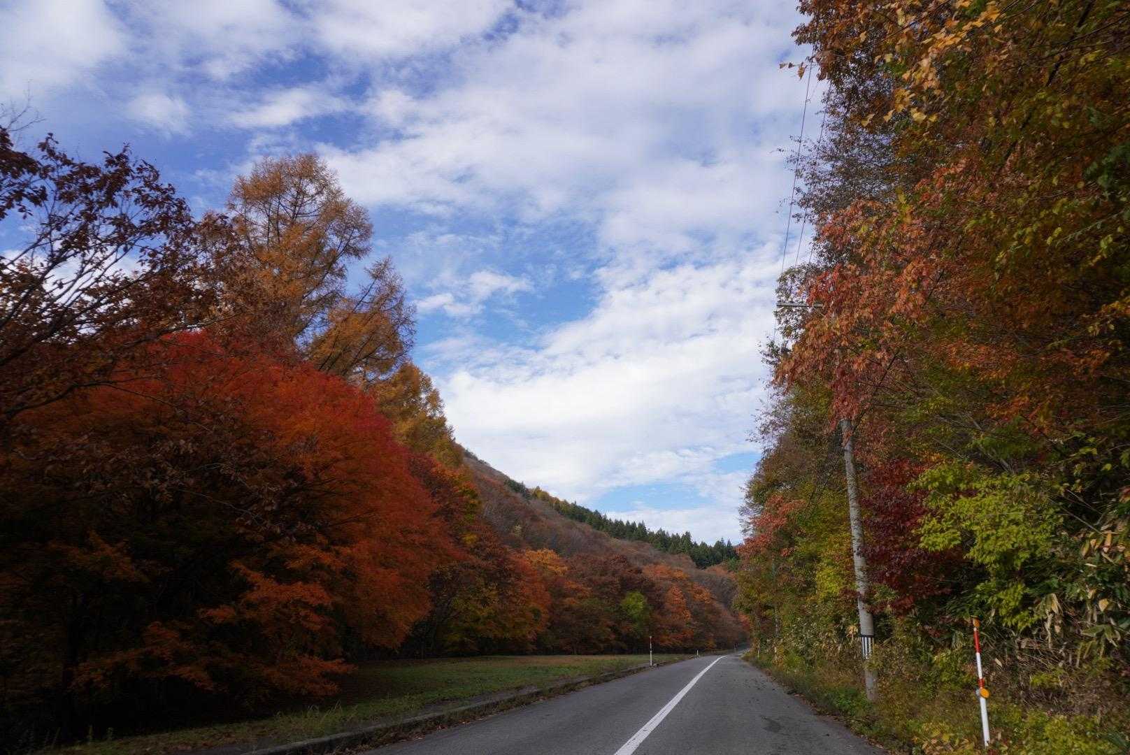 牛曳山登山口に向かう道路の紅葉も綺麗🍁