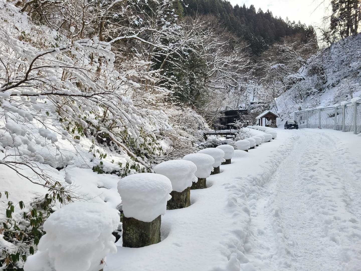 登山口までの道
マシュマロ雪が可愛い