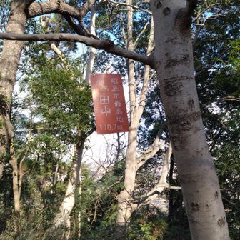 我が街最高地点！！