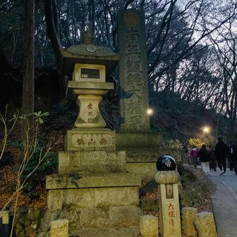 後はとっとと下るのみ。🏃‍♂️
1号路で下山します。薬王院を過ぎ、リフト乗り場を過ぎたあたりからは登山道は真っ暗です。ヘッドライト💡を持って来て良かったー。いくら低山でも、ダイヤモンド💎を見に来る方は何は無くともヘッドライトを忘れずに！高尾山を舐めてはいけませんよ😱