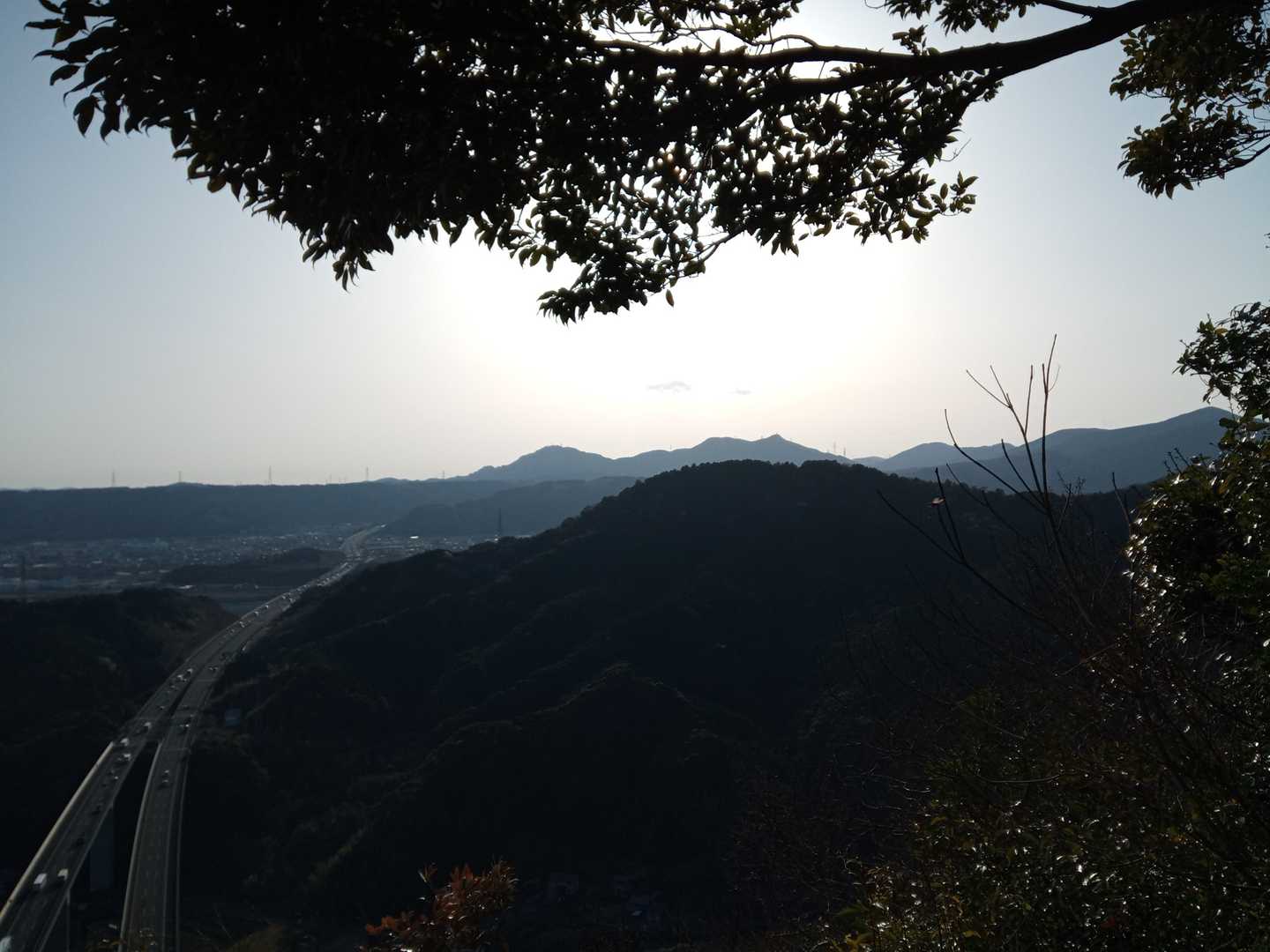 粟ヶ岳
粟分が欠乏してます🤤
補給に行かないと⛽
