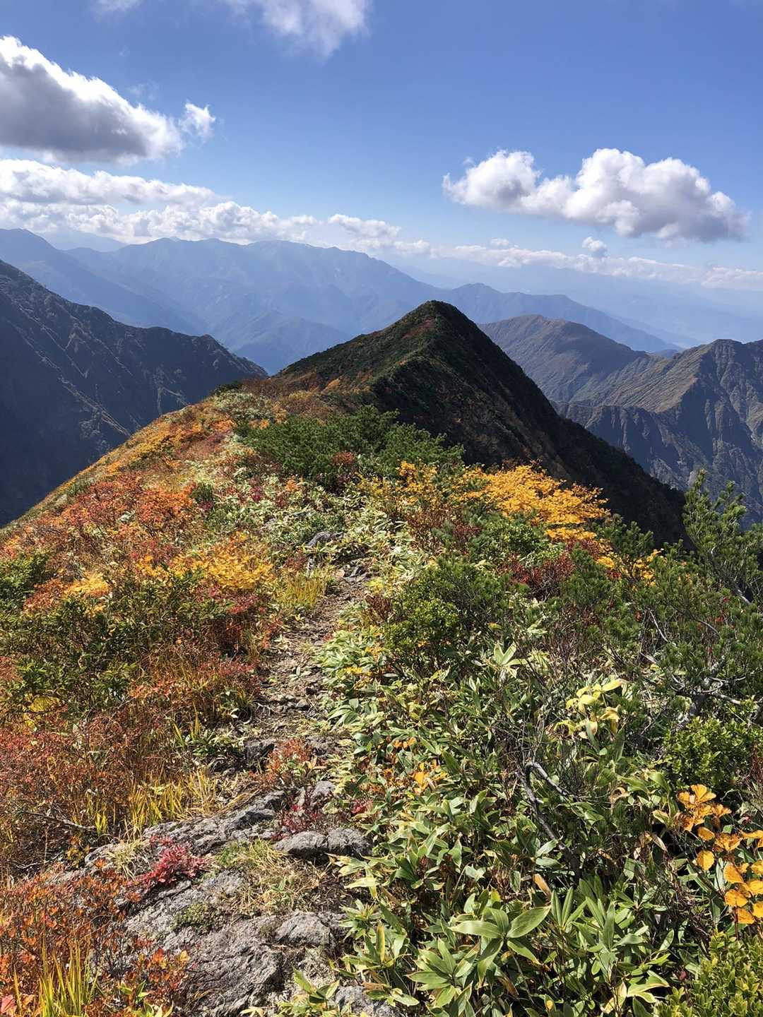 十二平登山口-グシガハナ-越後駒ヶ岳 往復コースの写真