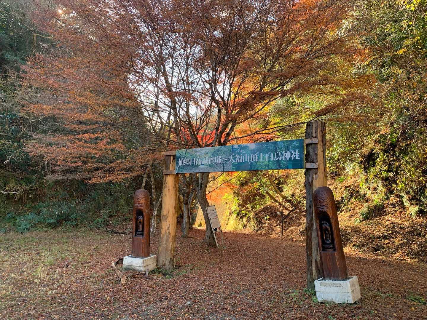 ひさびさのひとり旅
ワクワクとドキドキ