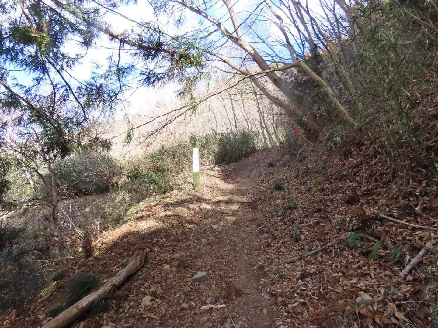 緩やかな坂を歩いて行くと、すぐに1合目です。