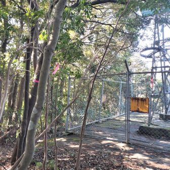 再びシダ薮をかき分け三才山まで戻ってきた
方向を変えて急坂を下りる