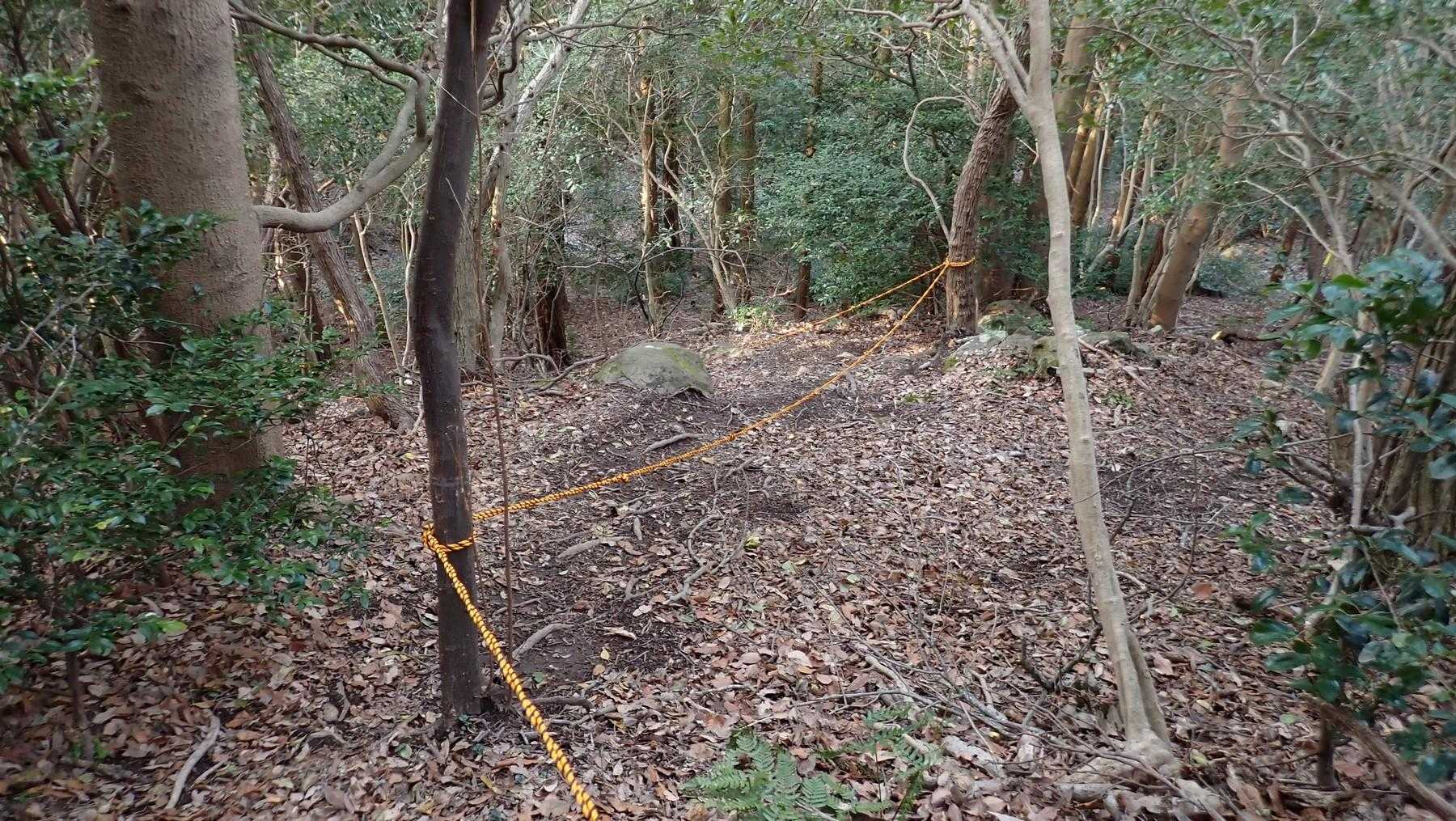 虎ロープが新しい。
雨続きで、土が湿って滑りやすいので助かる。