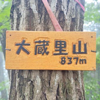 大蔵里山登頂837m