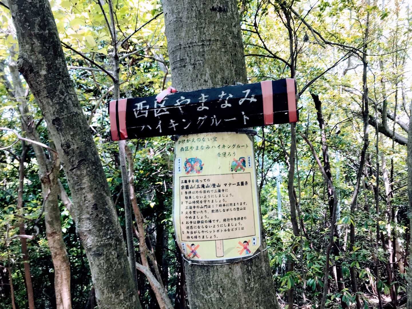 三滝駅-三滝観音バス停-宗箇山-三瀧寺 往復コースの写真