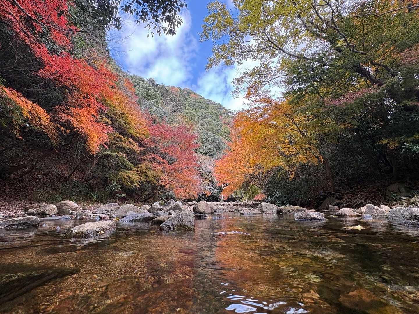 鈴蘭台駅-菊水山-鍋蓋山-再度越-滝山城跡登山口-新神戸駅 縦走コースの写真