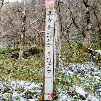 ここで長靴デポ
登山靴に履き替え🥾