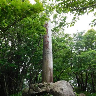 中岳  到着𓂃⟡.·＊
            1188M