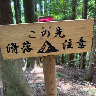 新しめの滑落注意の看板

確か去年の秋？に二本松尾根から落ちて亡くなった方いらっしゃったけど、このルートのどこで？？？