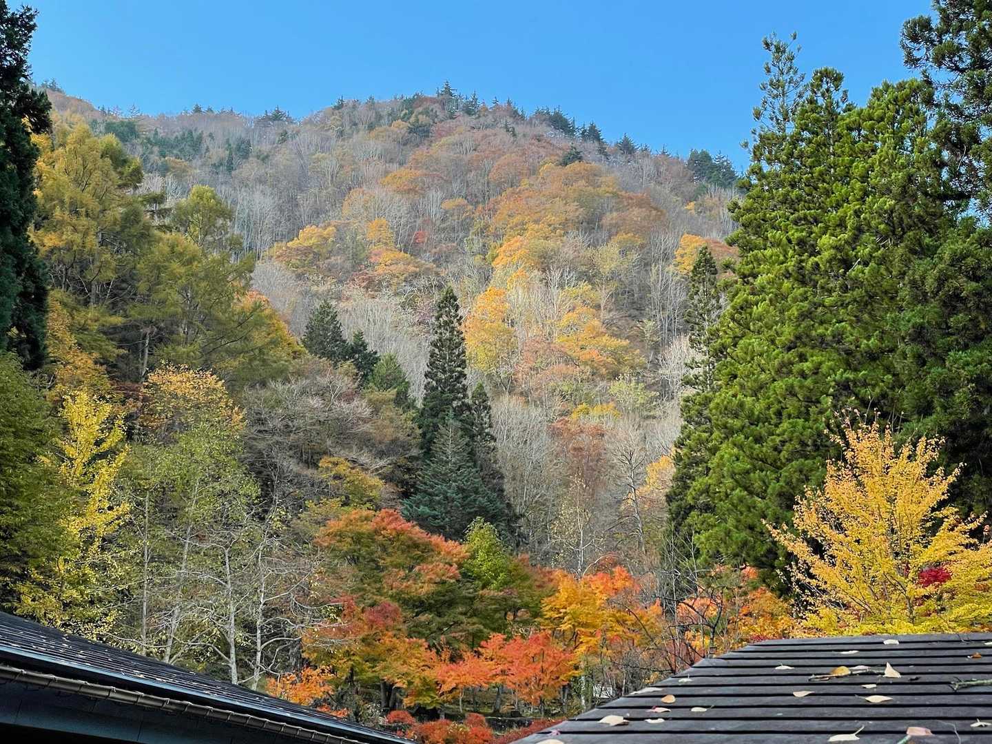 山の紅葉は終わりだね