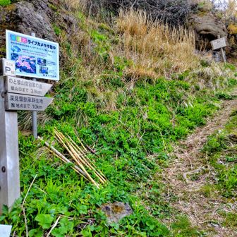 これより登山道登り